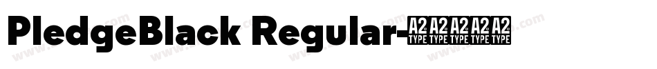 PledgeBlack Regular字体转换